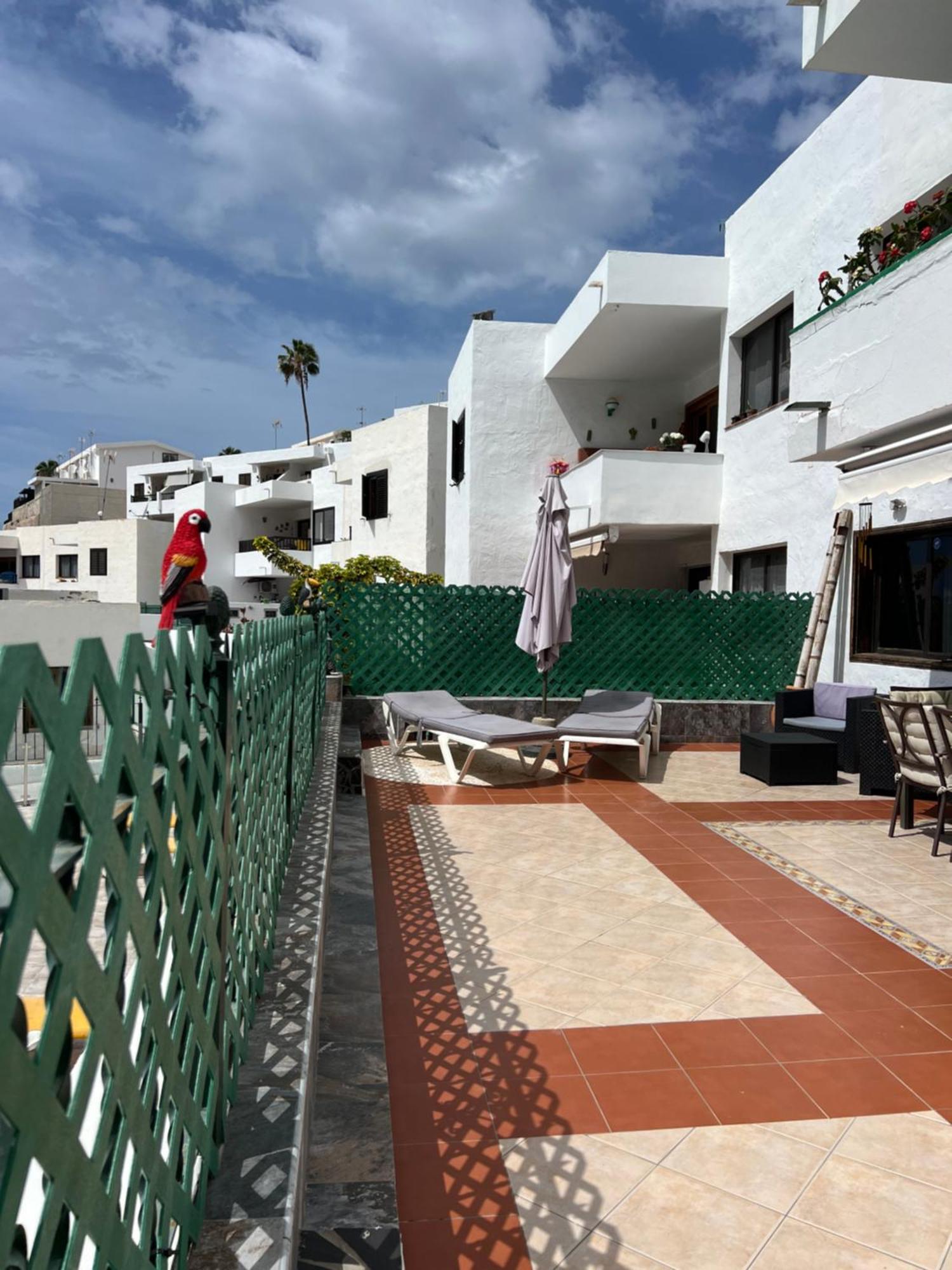 Lovely Apartment 2 Rooms With Big Terrace In Puerto Rico Puerto Rico  Zewnętrze zdjęcie